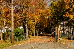 The Har Nof Bungalow Colony (formerly the Krauss Colony), Kiamesha Lake in the Catskill Mountains, NY. Oct. 2015.