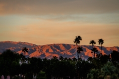 Entering Palm Springs on State Route 111