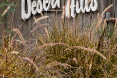 Desert Hills Hotel, 601 West Arenas Rd. (Herbert Burns, 1956).  Dec. 2016.