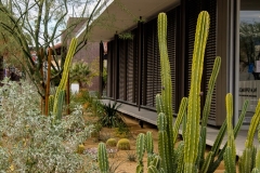 Santa Fe Federal Savings & Loan, now the Palm Springs Art Museum, 300 S. Palm Canyon Dr. (E. Stewart Williams, 1960).  Dec. 2016.