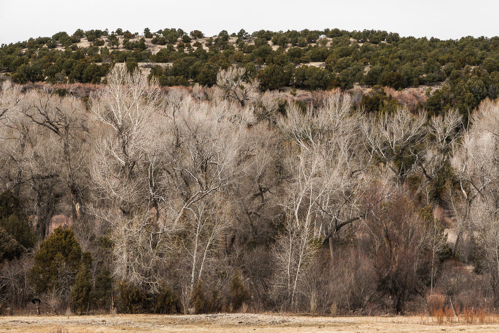 NM-Fuji-X-T2-2.27.17-194-1024x683.jpg